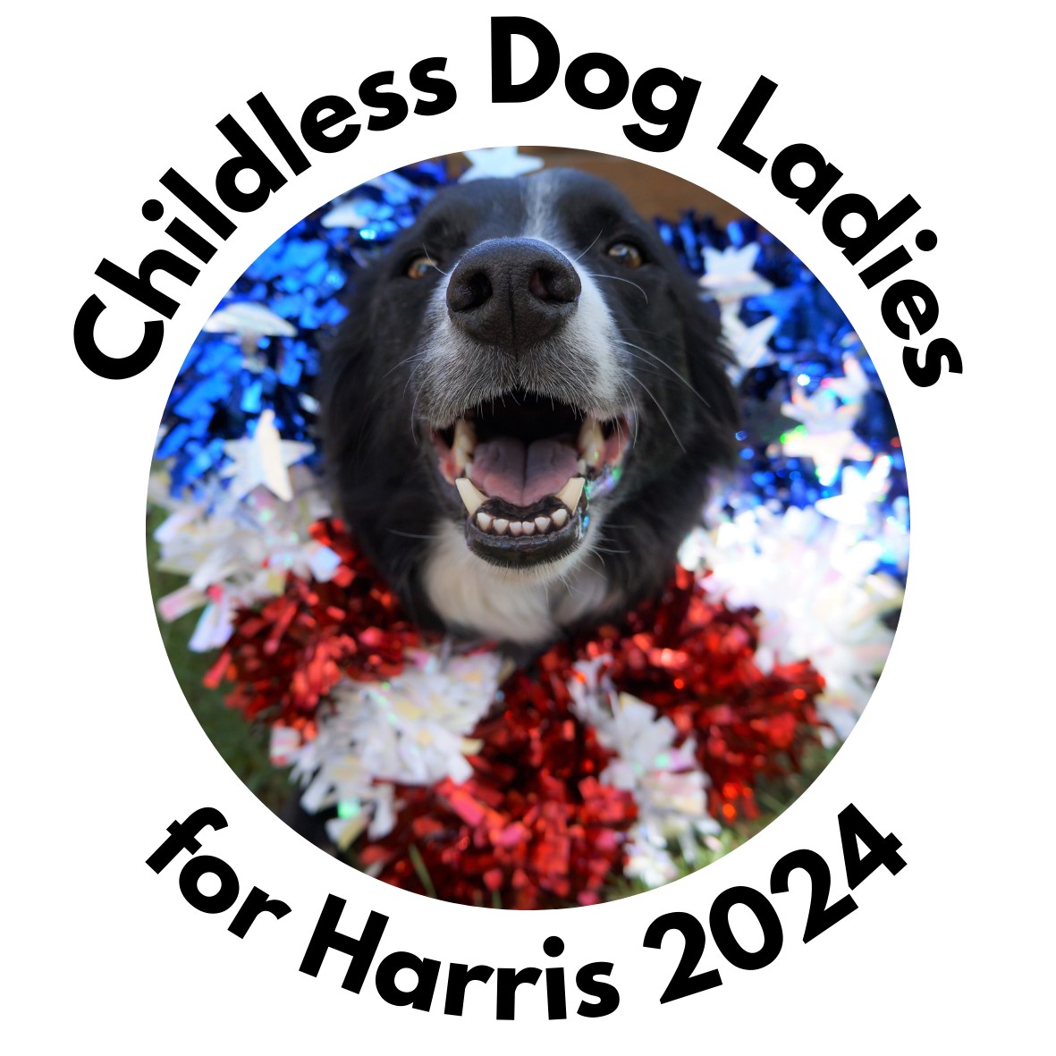 childless_dog_ladies_for_harris_2024.jpg